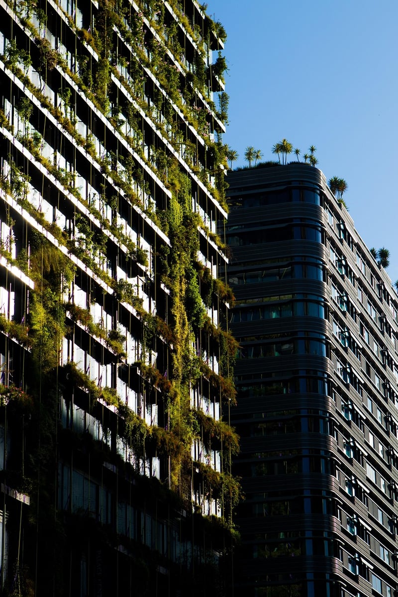 Edible Vertical Gardens